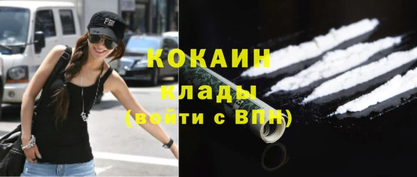 таблы Снежногорск